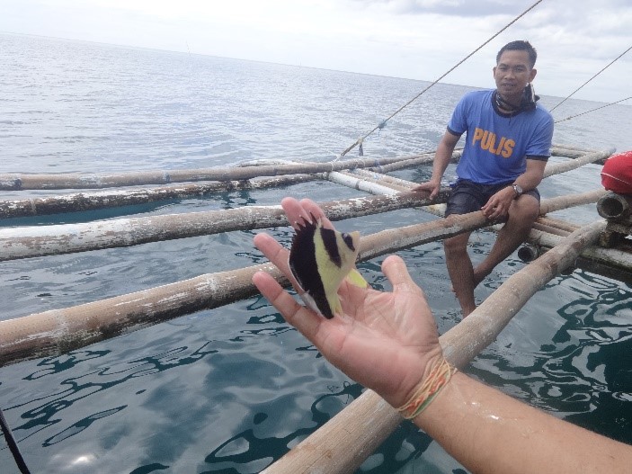 Isang uri ng aquarium fish na pinakawalan sa dagat sa San Fernando. (Photo from San Fernando PNP)