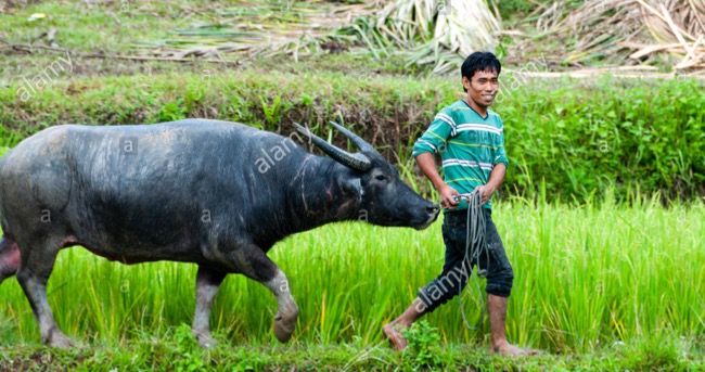 Photo by Alamy Stock Photo. For illustration only.