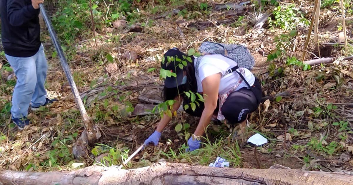 Larawan ni Suico Romero ng Romblon Sun