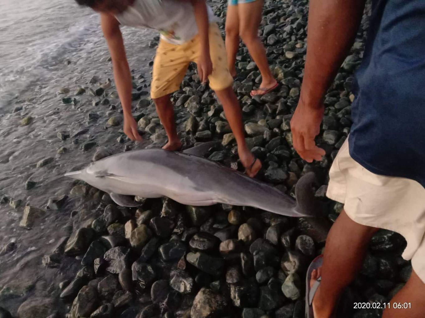 Photo Courtesy: Marklyn De Jesus