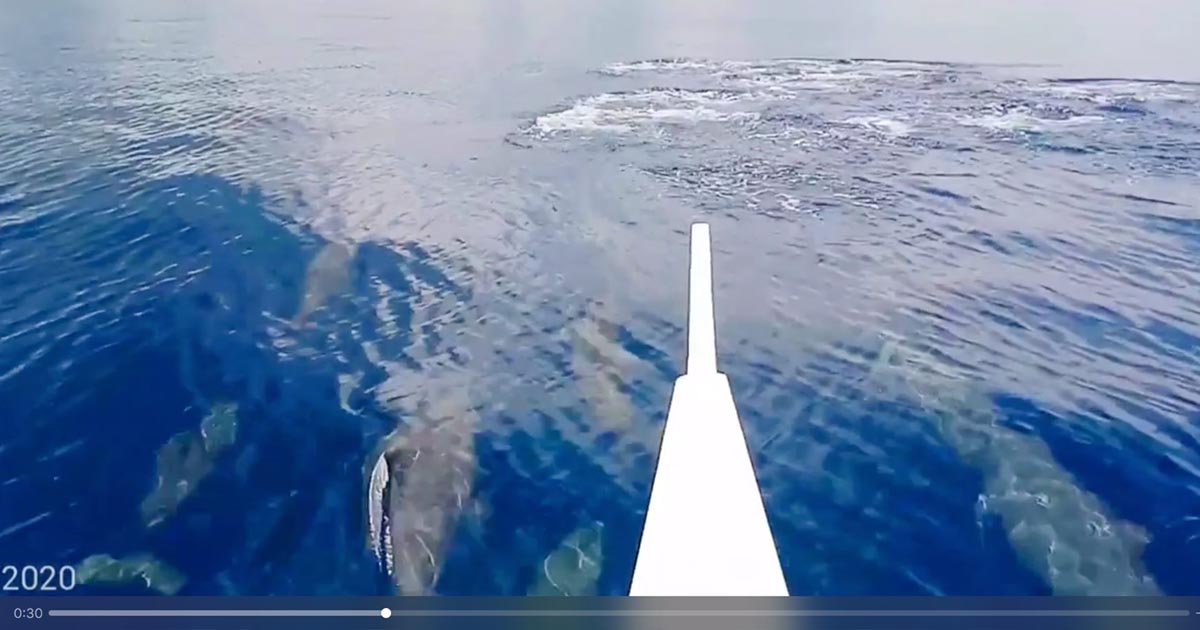 Screengrab from Discover Romblon FB Page