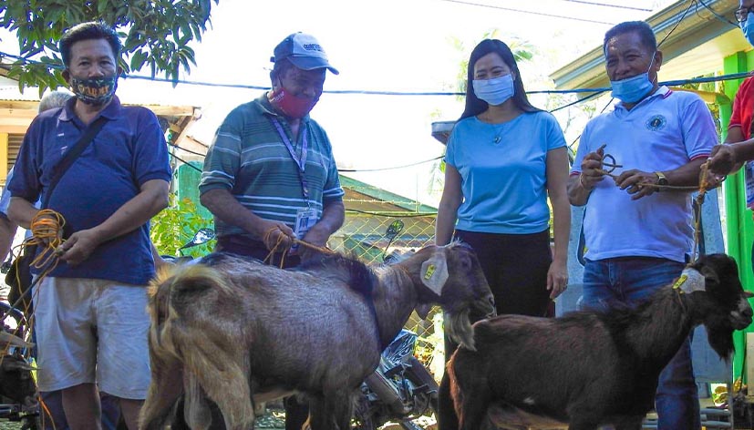 Larawan mula sa Odiongan Public Information Office