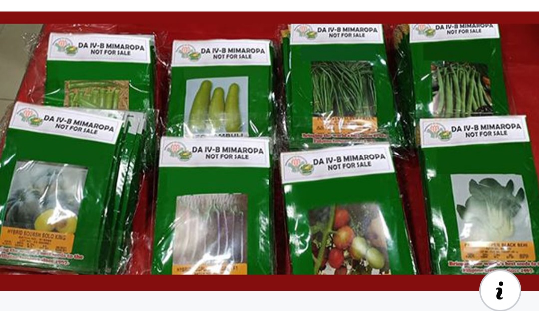 Mga pakete ng binhi na ipapamigay sa bawat bayan sa rehiyong Mimaropa mula sa pondo ng High-Value Crops Development Program ng Department of Agriculture (DA).  (Larawan mula sa HVCDP, DA-MIMAROPA)  