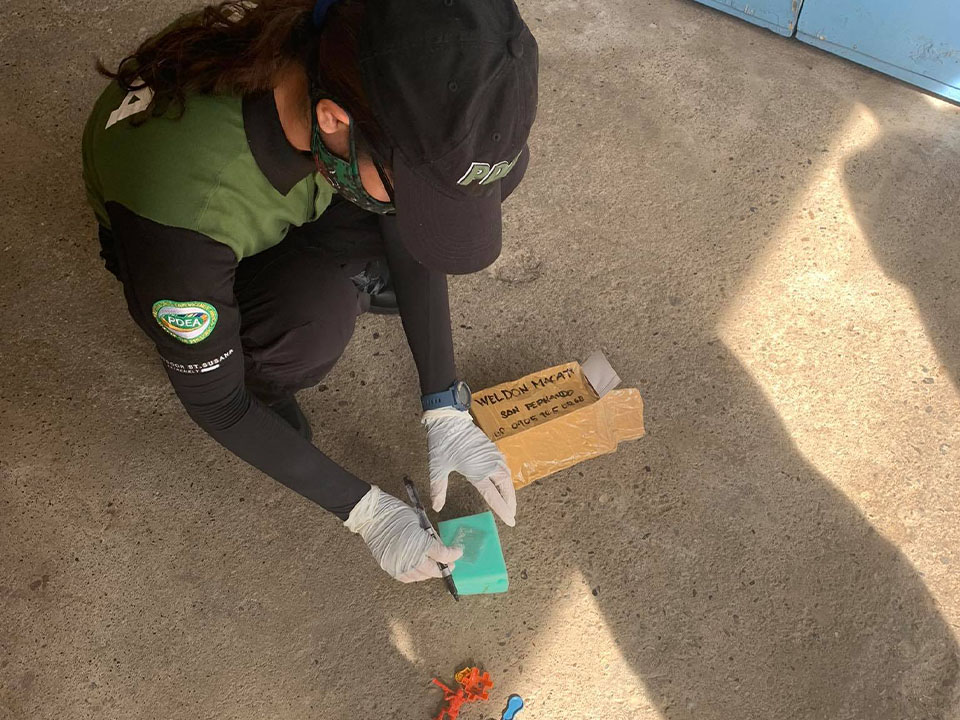 Photo Courtesy: PDEA Romblon