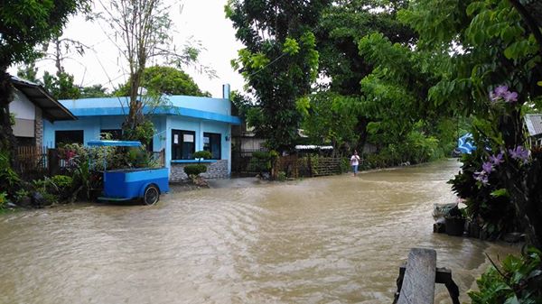 Photo Courtesy: Ryanne Calwill