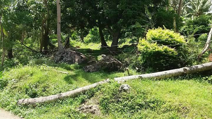 Photo credit to Mike Falogme