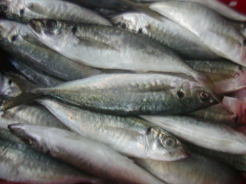 Photo: www.alibaba.com