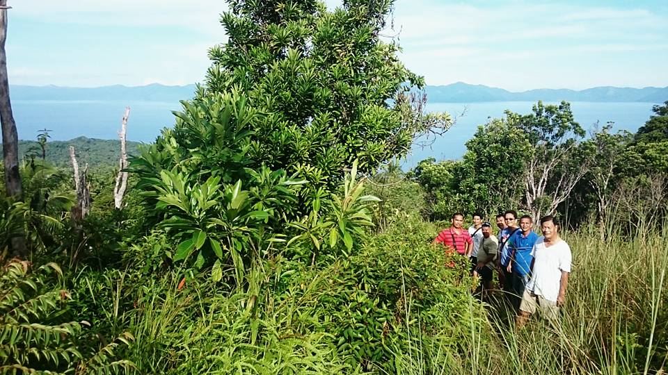 Photo Courtesy: Facebook/Lolong Firmalo