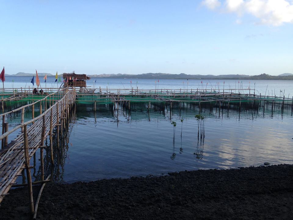 Crab farm of the Manggagawang Aktibo na Naglalayong Harapin ang Kinabukasan (MANHAK). Photo by Jemeul Gabuna