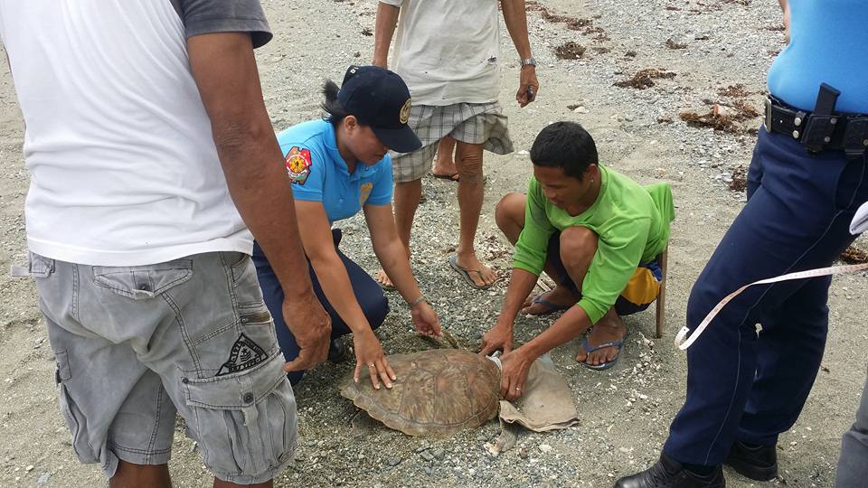 Photo Courtesy of Santa Maria MPS