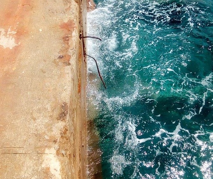 Photo Courtesy: Bernie Fallurin