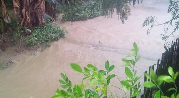 Courtesy: Facebook/Meldy Rotoni