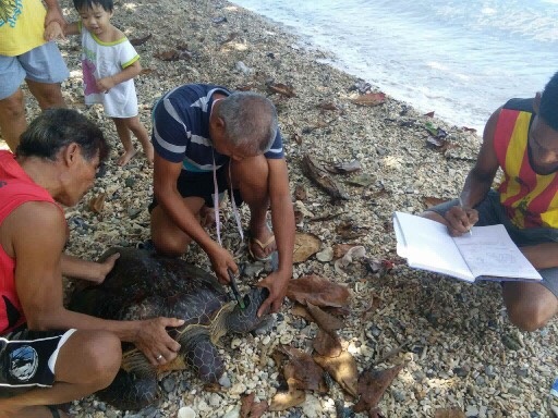 Photo Courtesy: Rose Romblon