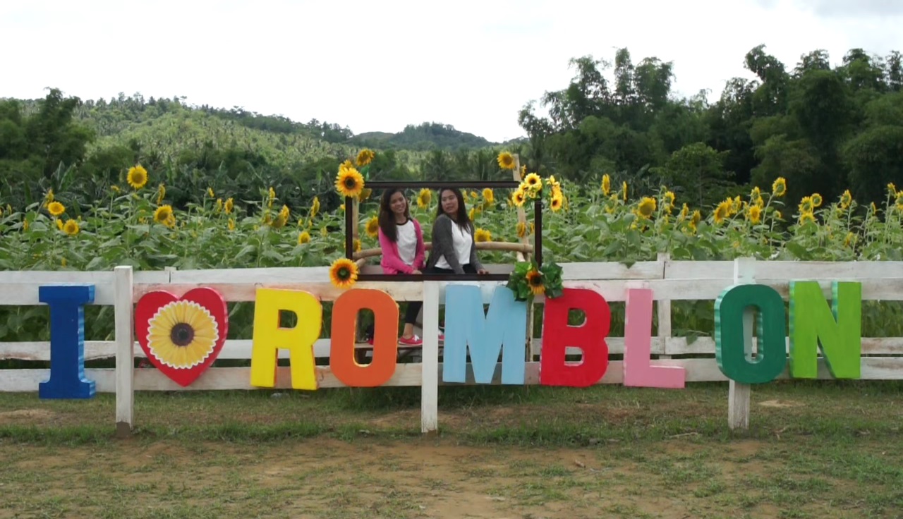 Sunflower Farm in San Andres, Romblon