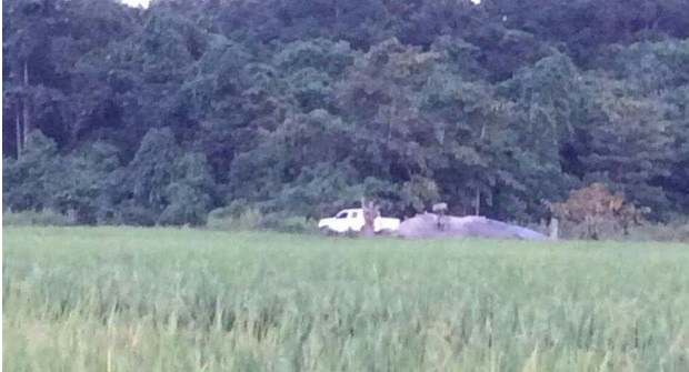 Image Courtesy of Inquirer.Net